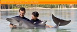 Atlantis - The Palm - Swim with a dolphin
